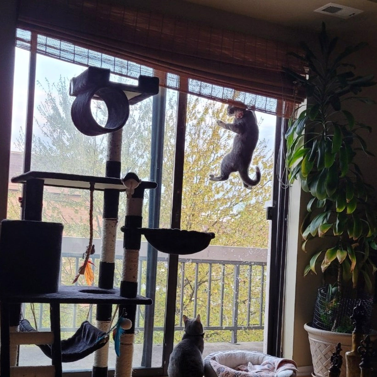 Coverwith magnetic screen door for pets - Built_for_Paws_Claws_and_Nose_Boops