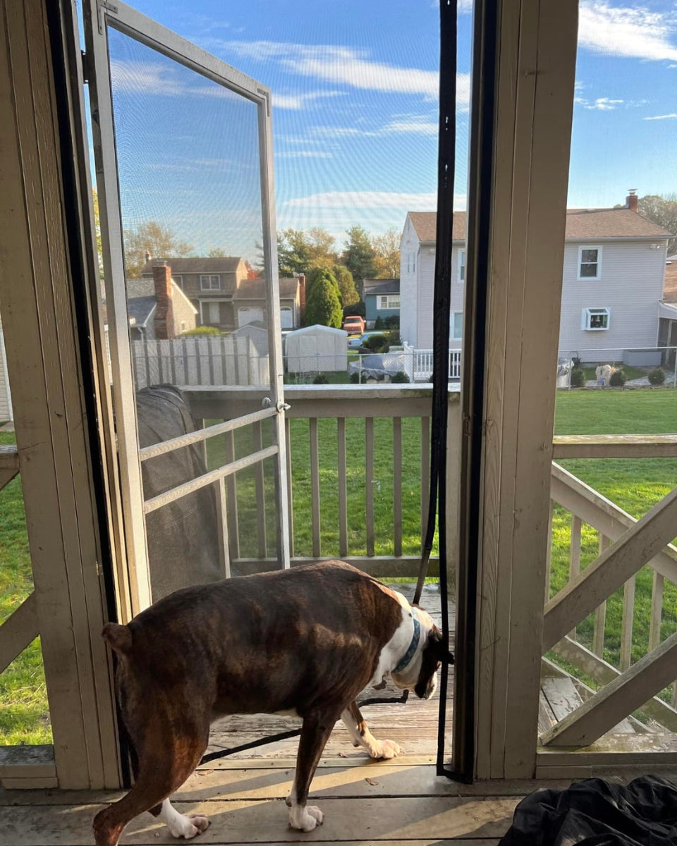 Coverwith magnetic screen door for pets - Stop_Being_a_Doorman_for_Your_Dog
