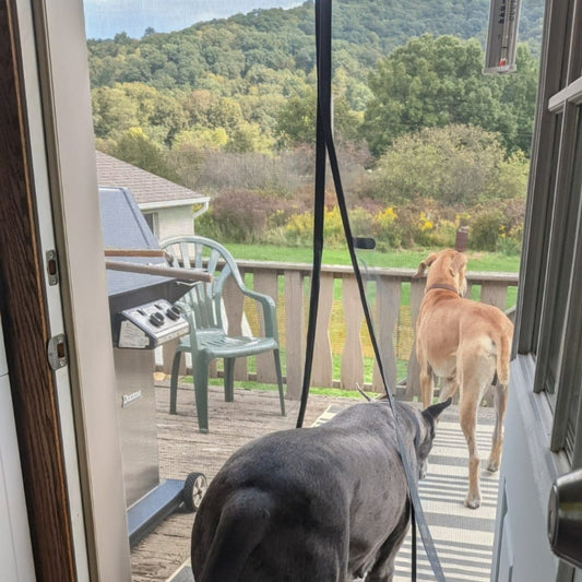For Pets | Magnetic Screen Door - CoverWith