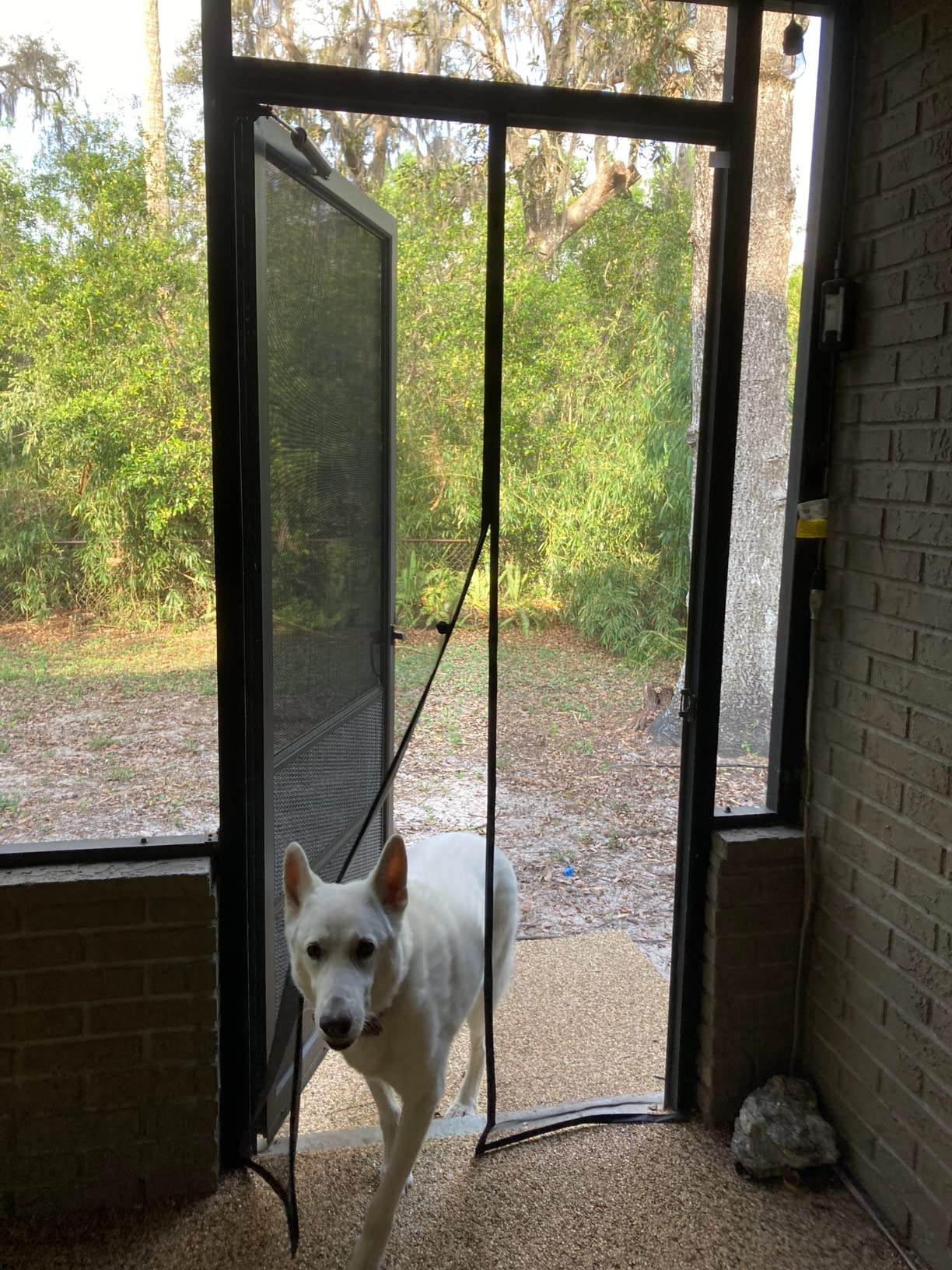 Coverwith magnetic screen door for pets