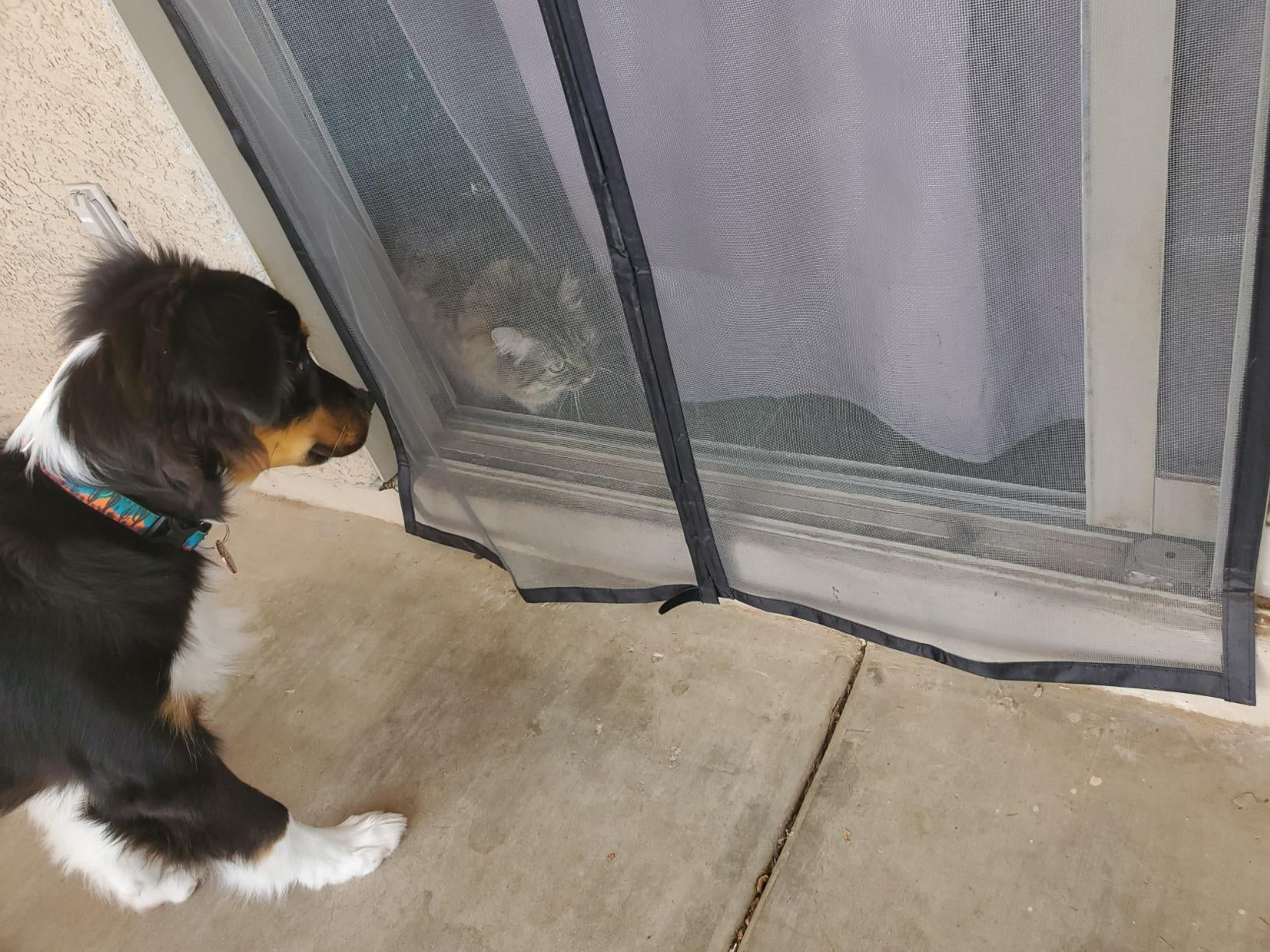Coverwith magnetic screen door for pets
