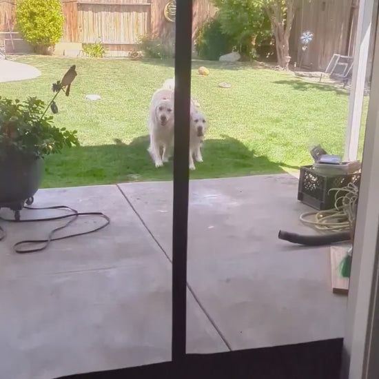 Pets Love Coverwith Magnetic Screen Door - Part2